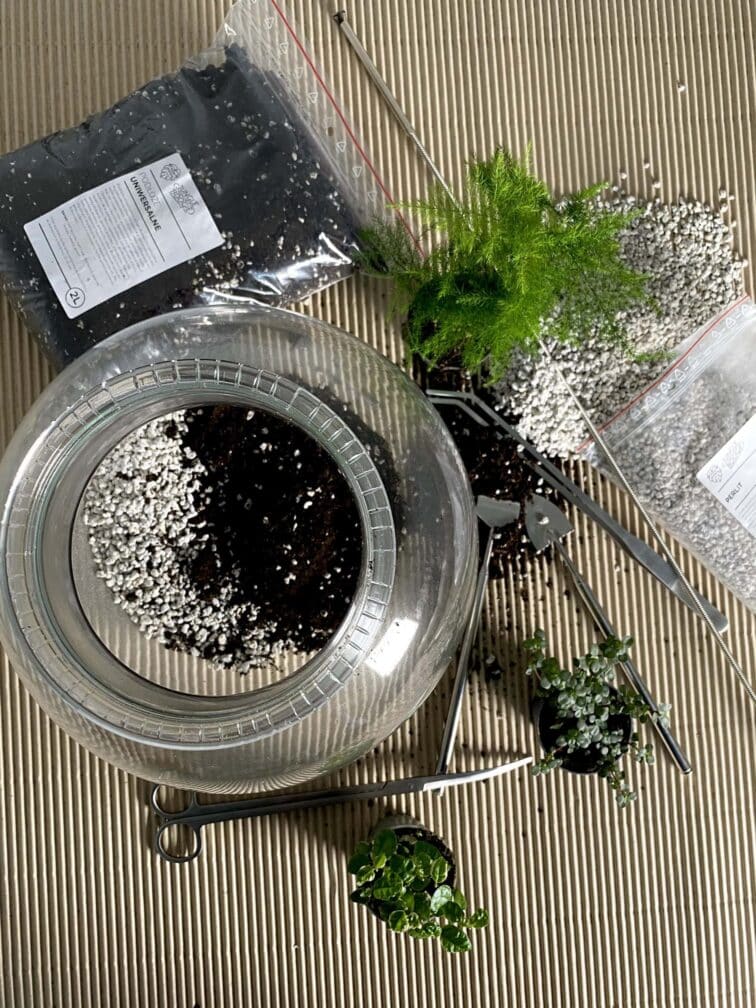 Zdjęcie akcesoria Nożyczki do terrarium 25cm, ujęcie 2