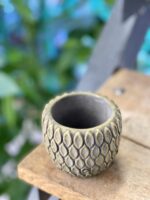 Zdjęcie doniczki lub oslonki: Osłonka Grzechotnik 6x7&nbsp;cm, ujęcie 1