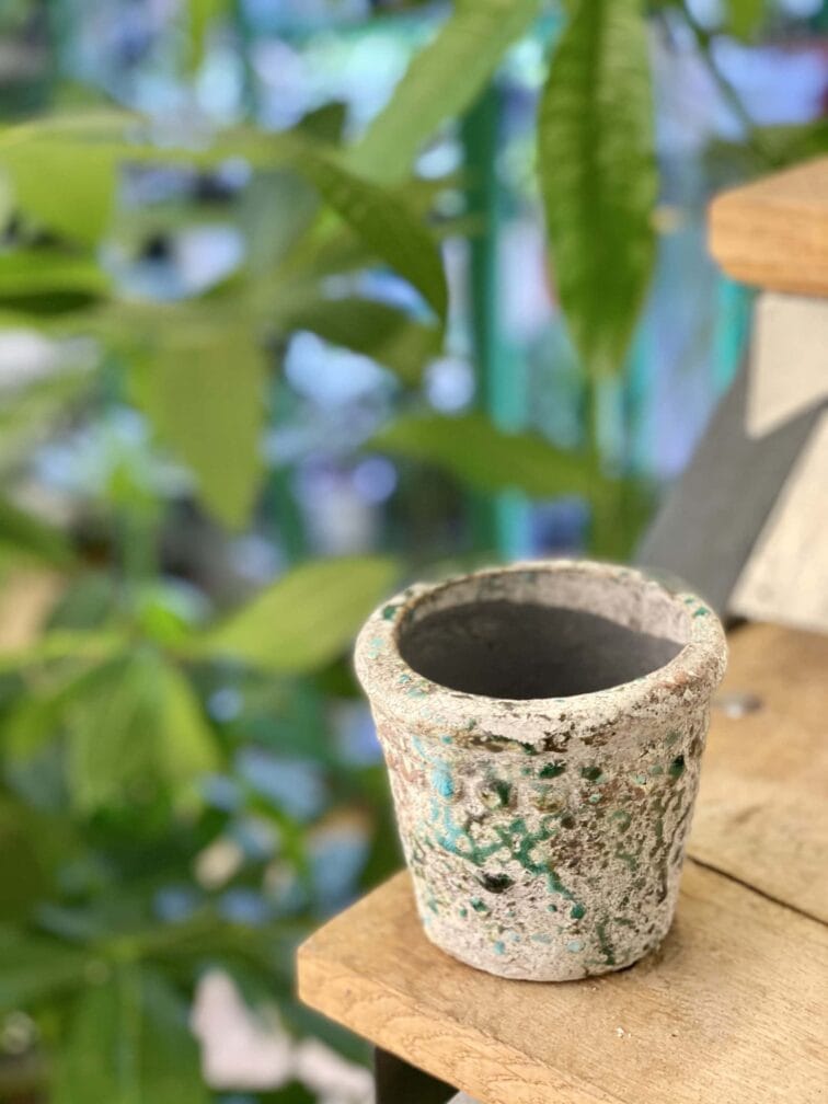 Zdjęcie doniczki lub oslonki: Osłonka Guell 8x9&nbsp;cm, ujęcie 3