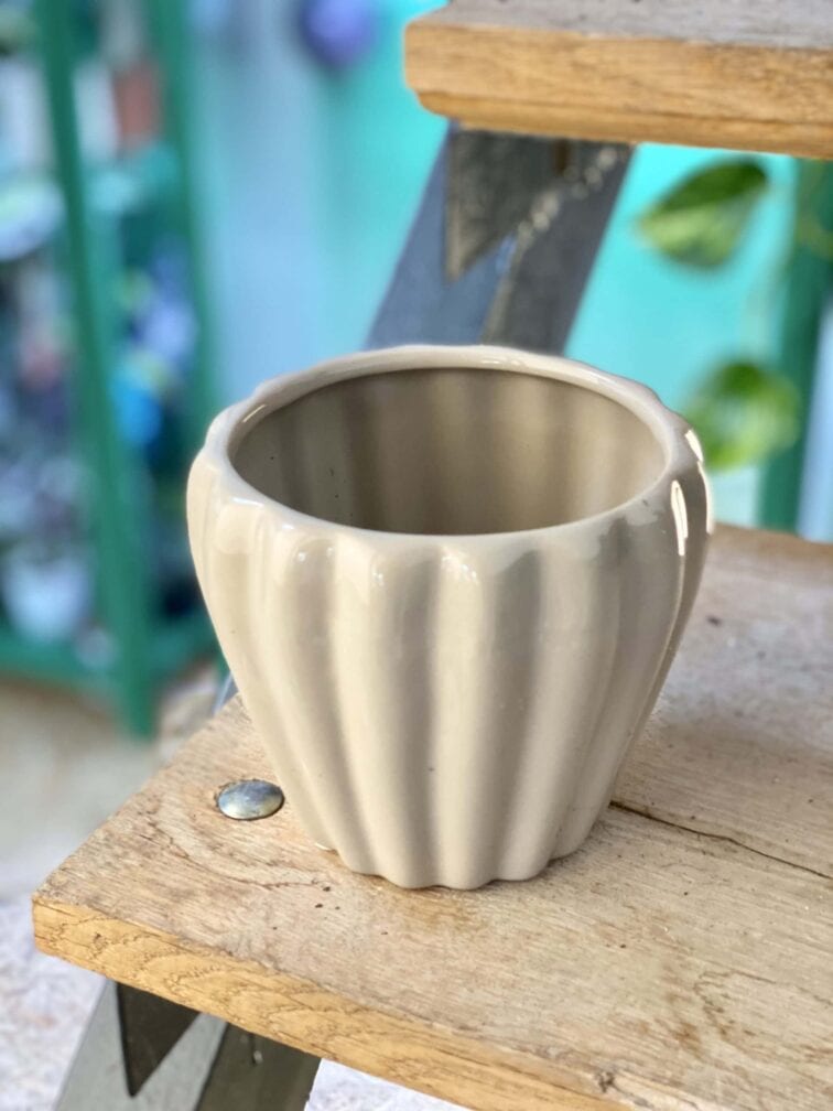 Zdjęcie doniczki lub oslonki: Osłonka Omega Grey 10x11&nbsp;cm, ujęcie 1