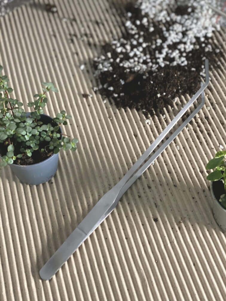 Zdjęcie akcesoria Penseta do terrarium 26cm, ujęcie 3