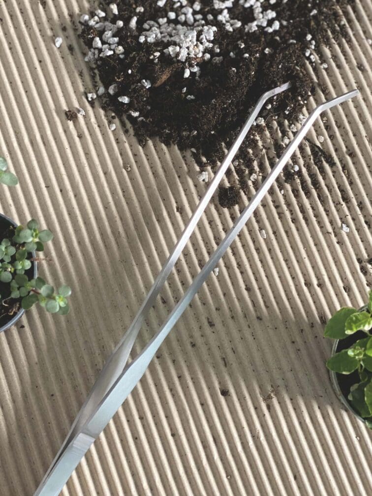 Zdjęcie akcesoria Penseta do terrarium 26cm, ujęcie 4