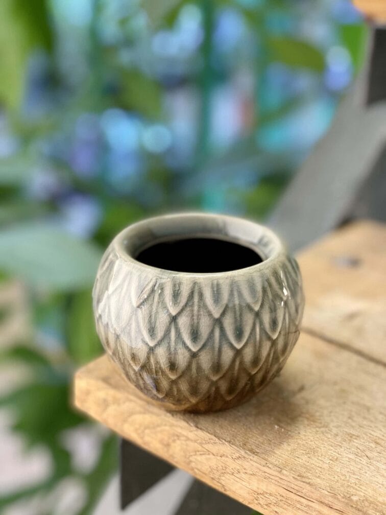 Zdjęcie doniczki lub oslonki: Stalaktyk Grey 6x7&nbsp;cm, ujęcie 1