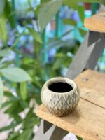 Zdjęcie doniczki lub oslonki: Stalaktyk Grey 6x7&nbsp;cm, ujęcie 3