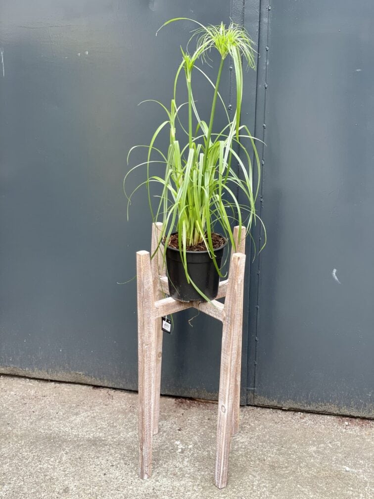 Zdjęcie doniczki lub oslonki: Kwietnik drewniany 0x70&nbsp;cm, ujęcie 3