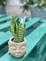 Zdjęcie doniczki lub oslonki: Osłonka Buddha 6x7&nbsp;cm, ujęcie 3