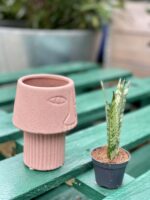 Zdjęcie doniczki lub oslonki: Osłonka Crazy Pink 7x13&nbsp;cm, ujęcie 2