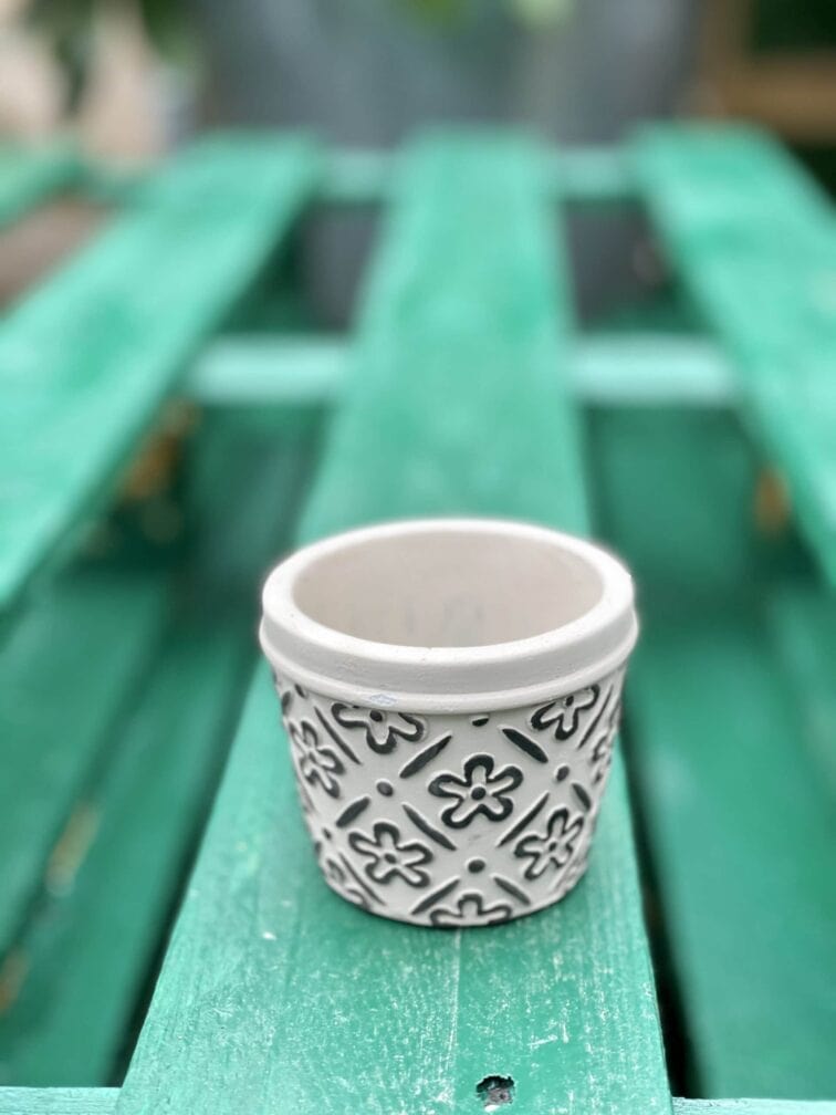 Zdjęcie doniczki lub oslonki: Osłonka Herb 6x6&nbsp;cm, ujęcie 1