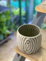 Zdjęcie doniczki lub oslonki: Osłonka Kora Grey 11x12&nbsp;cm, ujęcie 3