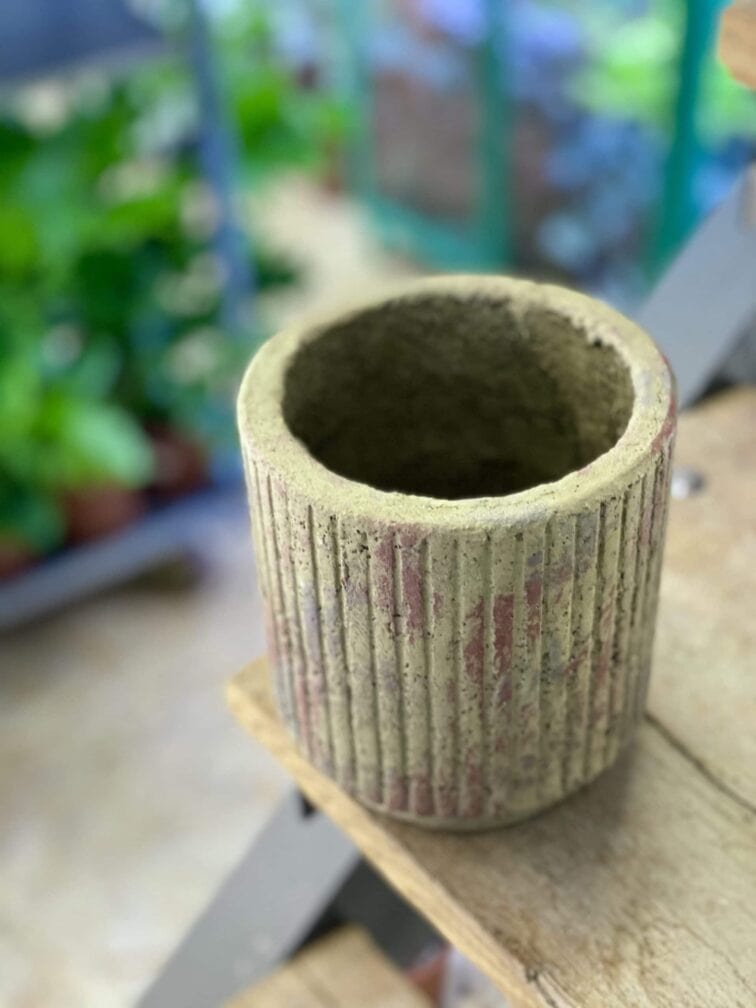 Zdjęcie doniczki lub oslonki: Osłonka Posąg 10x14&nbsp;cm, ujęcie 2