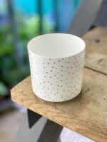Zdjęcie doniczki lub oslonki: Osłonka Sparkling 6x6&nbsp;cm, ujęcie 1