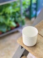 Zdjęcie doniczki lub oslonki: Osłonka Sparkling 6x6&nbsp;cm, ujęcie 3