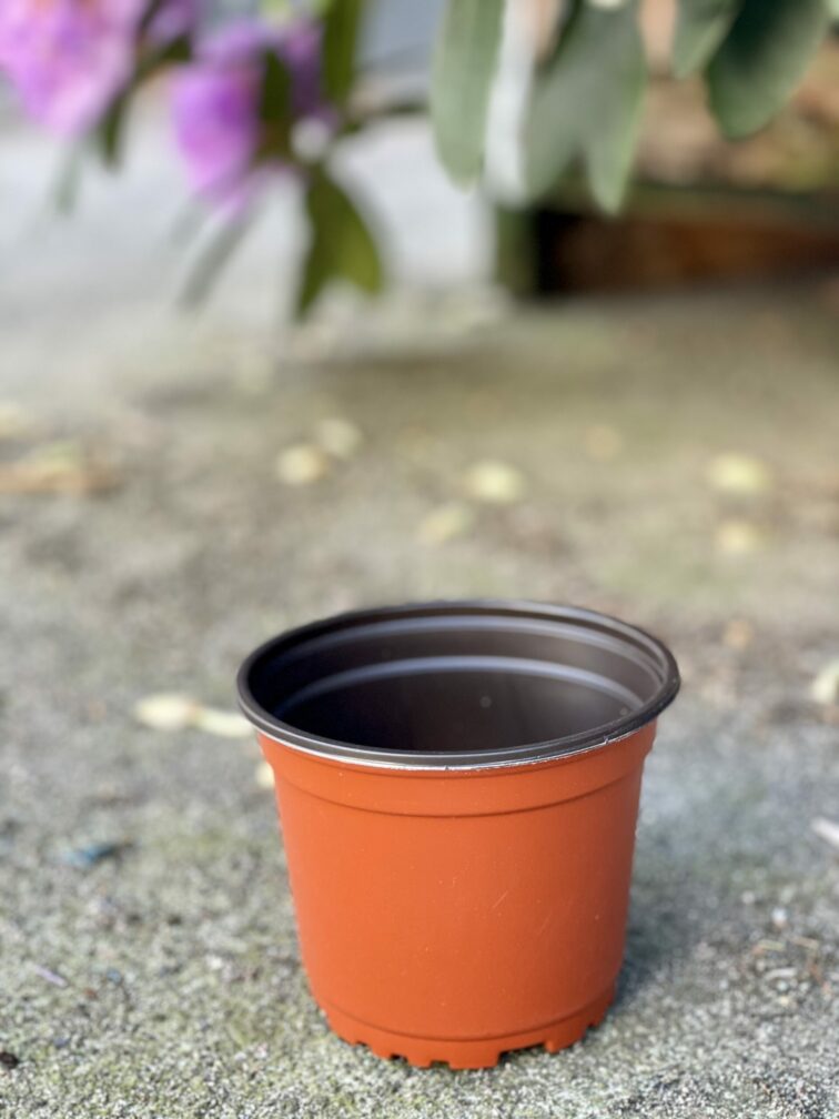 Zdjęcie doniczki lub oslonki: Doniczka plastikowa 11x9&nbsp;cm, ujęcie 1