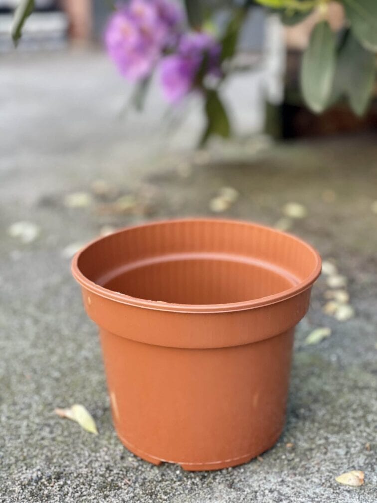 Zdjęcie doniczki lub oslonki: Doniczka plastikowa 17x13&nbsp;cm, ujęcie 1