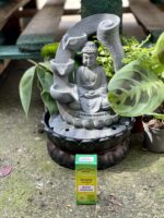 Zdjęcie akcesoria Olejek zapachowy Drzewo Herbaciane 12ml, ujęcie 1