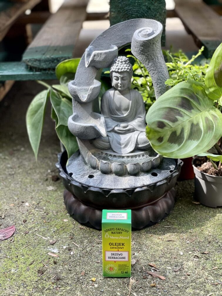 Zdjęcie akcesoria Olejek zapachowy Drzewo Herbaciane 12ml, ujęcie 1