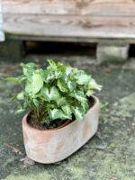 Zdjęcie doniczki lub oslonki: Osłonka Clay Long 12x11&nbsp;cm, ujęcie 2