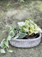 Zdjęcie doniczki lub oslonki: Osłonka Earth Long 10x13&nbsp;cm, ujęcie 2