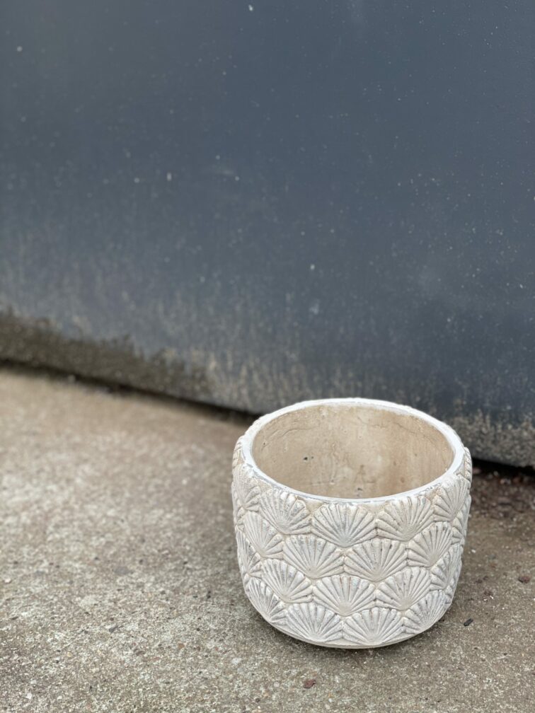 Zdjęcie doniczki lub oslonki: Osłonka Shell 11x11&nbsp;cm, ujęcie 3