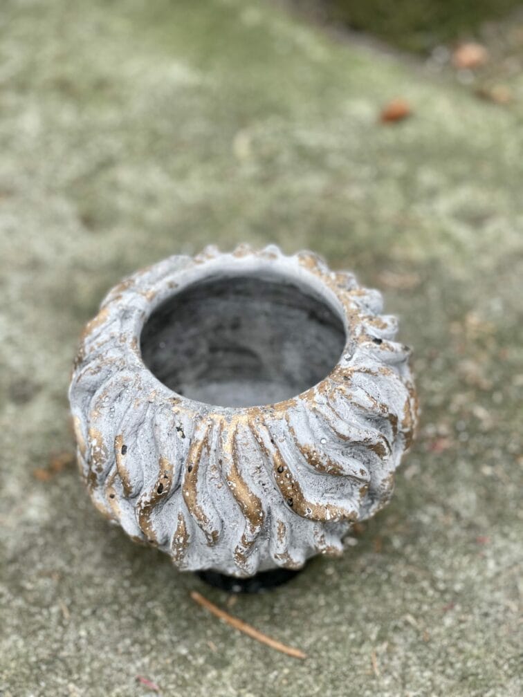 Zdjęcie doniczki lub oslonki: Osłonka Smardz 8x14&nbsp;cm, ujęcie 3