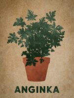 Zdjęcie akcesoria Plakat Anginka 30x40cm, ujęcie 1