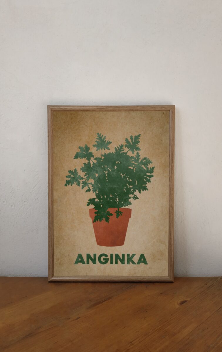 Zdjęcie akcesoria Plakat Anginka 30x40cm, ujęcie 2