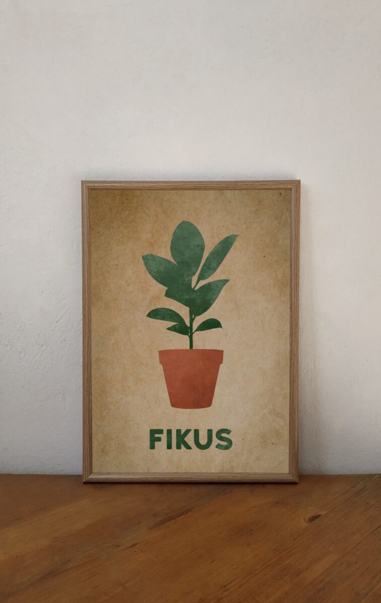 Zdjęcie akcesoria Plakat Fikus 30x40cm, ujęcie 2
