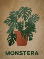 Zdjęcie akcesoria Plakat Monstera 30x40cm, ujęcie 1