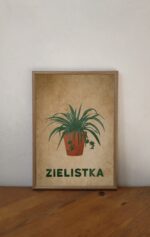 Zdjęcie akcesoria Plakat Zielistka 30x40cm, ujęcie 2