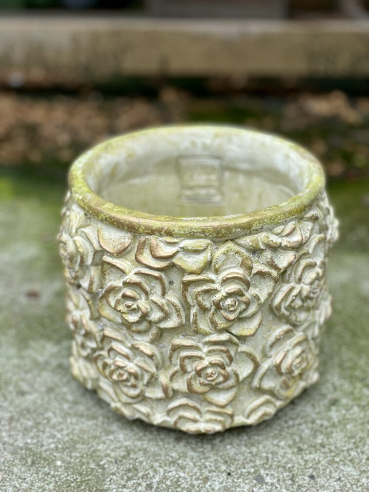 Zdjęcie doniczki lub oslonki: Osłonka Green Rose 13x16&nbsp;cm, ujęcie 1