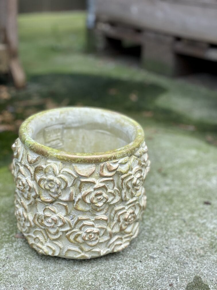 Zdjęcie doniczki lub oslonki: Osłonka Green Rose 13x16&nbsp;cm, ujęcie 3