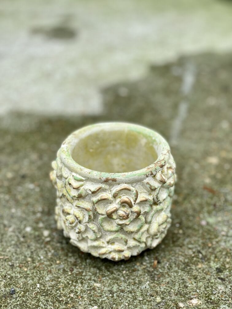 Zdjęcie doniczki lub oslonki: Osłonka Green Rose 6x8&nbsp;cm, ujęcie 1