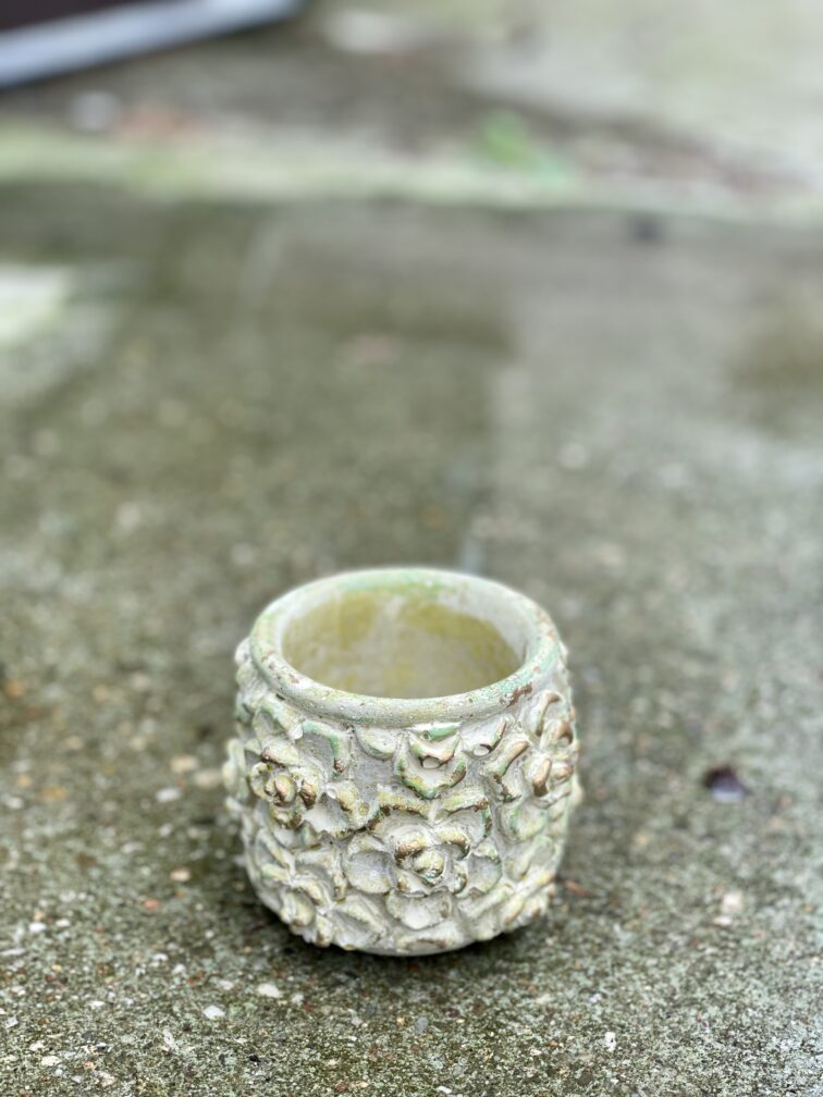 Zdjęcie doniczki lub oslonki: Osłonka Green Rose 6x8&nbsp;cm, ujęcie 3