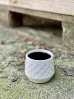Zdjęcie doniczki lub oslonki: Osłonka Lilia 6x7&nbsp;cm, ujęcie 1