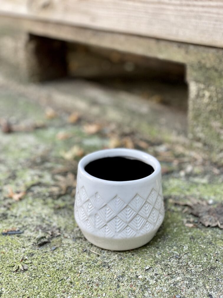 Zdjęcie doniczki lub oslonki: Osłonka Lilia 6x7&nbsp;cm, ujęcie 1