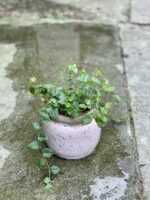 Zdjęcie doniczki lub oslonki: Osłonka Pink Glaze 10x13&nbsp;cm, ujęcie 2