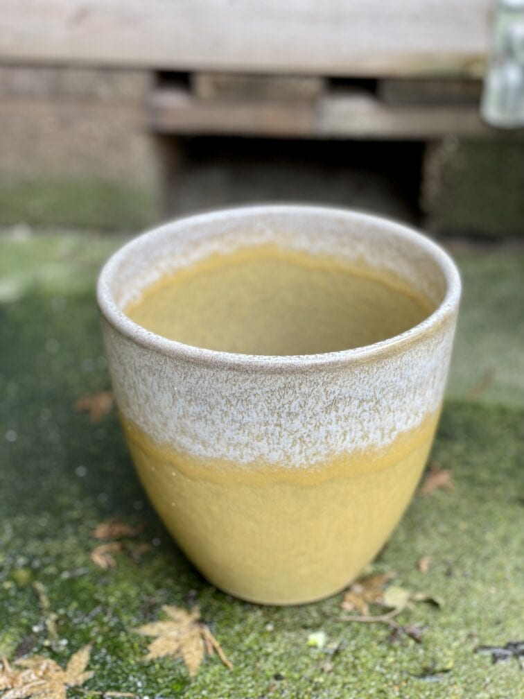 Zdjęcie doniczki lub oslonki: Osłonka Yellow Dust 15x16&nbsp;cm, ujęcie 1