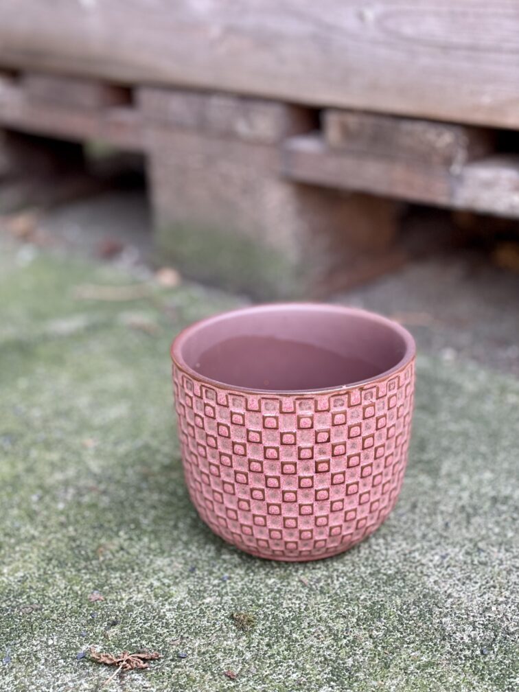 Zdjęcie doniczki lub oslonki: Retro Pink 9x9&nbsp;cm, ujęcie 1
