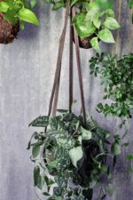 Zdjęcie doniczki lub oslonki: Kwietnik skórzany Bloomingville Grey 20x17&nbsp;cm, ujęcie 4