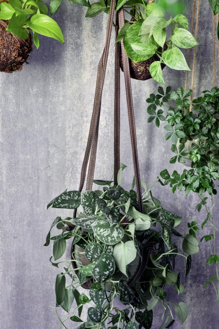 Zdjęcie doniczki lub oslonki: Kwietnik skórzany Bloomingville Grey 20x17&nbsp;cm, ujęcie 4