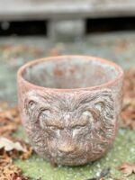 Zdjęcie doniczki lub oslonki: Osłonka Aslan 15x16&nbsp;cm, ujęcie 1