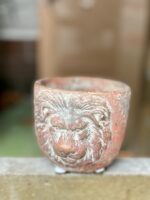Zdjęcie doniczki lub oslonki: Osłonka Aslan 7x8&nbsp;cm, ujęcie 1