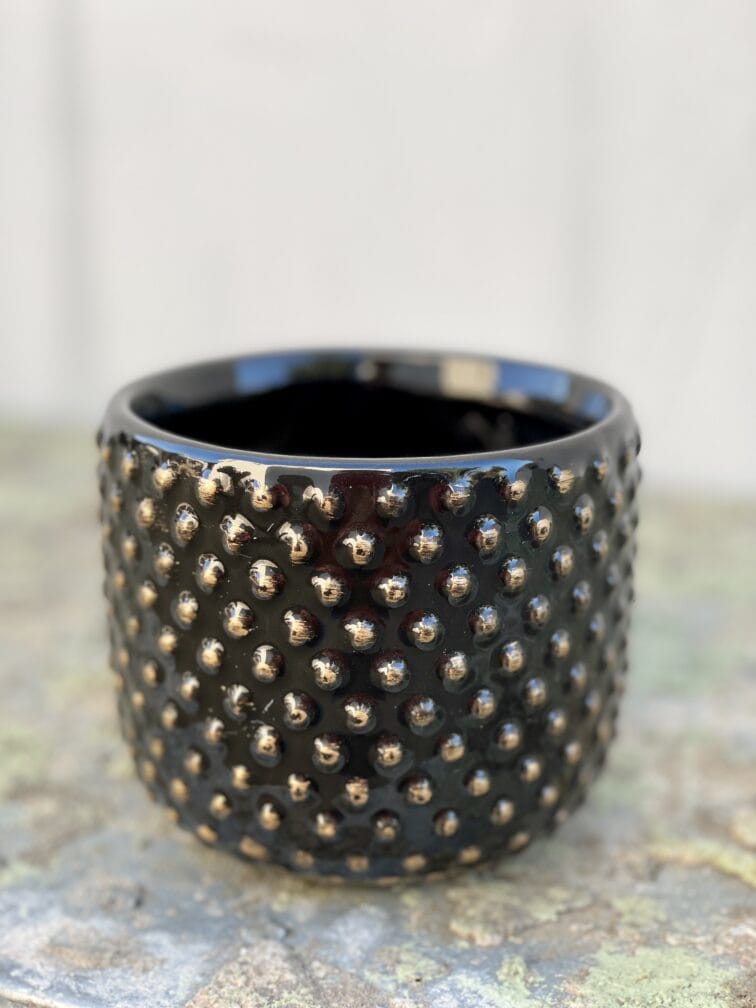 Zdjęcie doniczki lub oslonki: Osłonka Epifauna Black 8x8&nbsp;cm, ujęcie 1