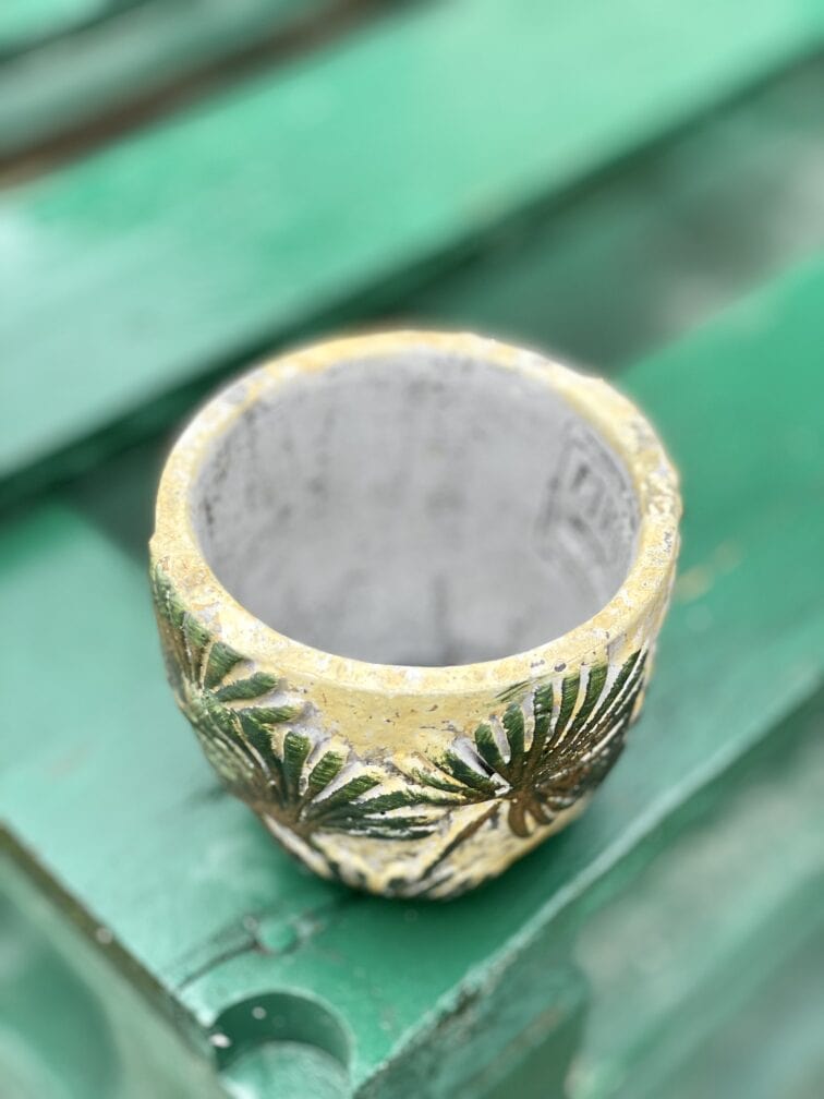 Zdjęcie doniczki lub oslonki: Osłonka Livistonia 7x8&nbsp;cm, ujęcie 3