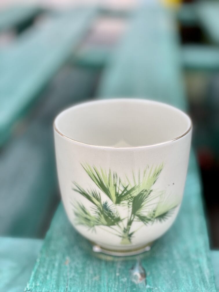 Zdjęcie doniczki lub oslonki: Osłonka Tropical 6x7&nbsp;cm, ujęcie 1
