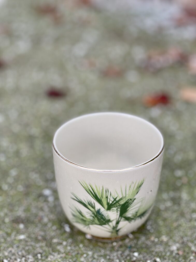 Zdjęcie doniczki lub oslonki: Osłonka Tropical 6x7&nbsp;cm, ujęcie 3