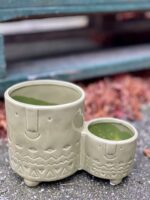 Zdjęcie doniczki lub oslonki: Osłonka Twins Green 6x5&nbsp;cm, ujęcie 1