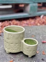Zdjęcie doniczki lub oslonki: Osłonka Twins Green 6x5&nbsp;cm, ujęcie 3