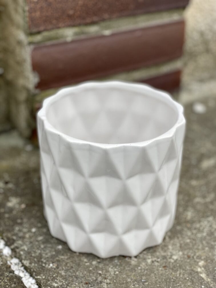 Zdjęcie doniczki lub oslonki: Osłonka Cylinder White 12x13&nbsp;cm, ujęcie 1