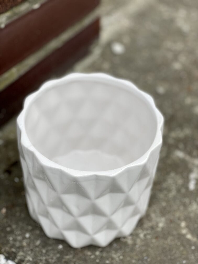 Zdjęcie doniczki lub oslonki: Osłonka Cylinder White 12x13&nbsp;cm, ujęcie 3